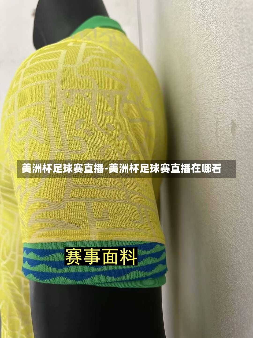美洲杯足球賽直播-美洲杯足球賽直播在哪看