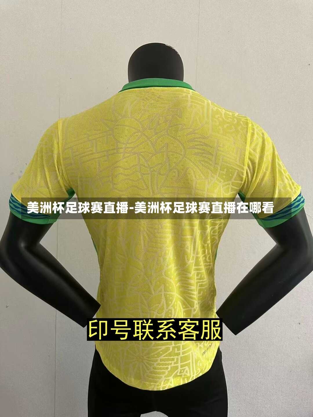 美洲杯足球賽直播-美洲杯足球賽直播在哪看