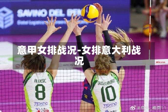 意甲女排戰況-女排意大利戰況